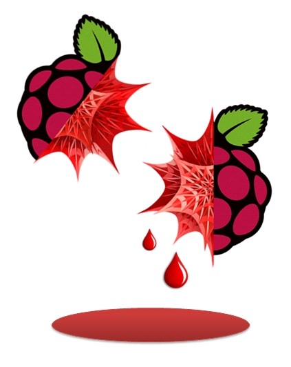 mathematica-raspberry-icona