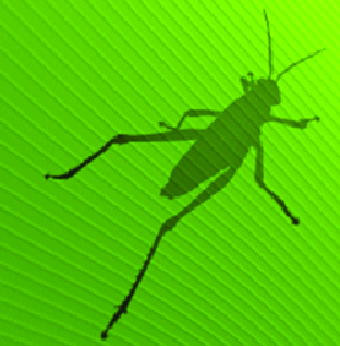 Meccanismo Complesso - Grasshopper logo