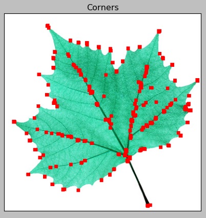 OpenCV and Python - Harris Corner Detection - corners on a leaf