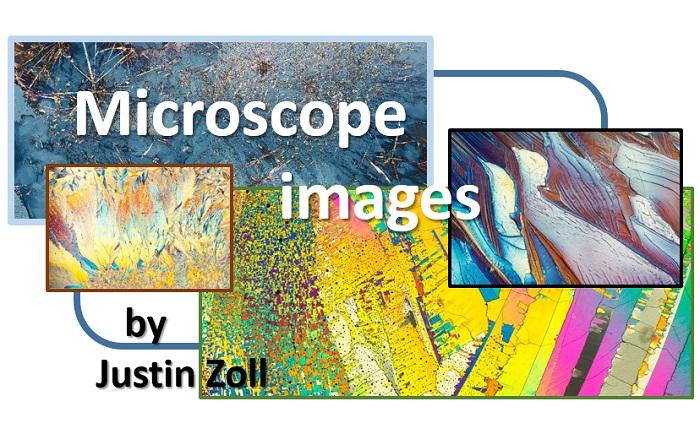 The art of nature captured through the microscope images by Justin Zoll m