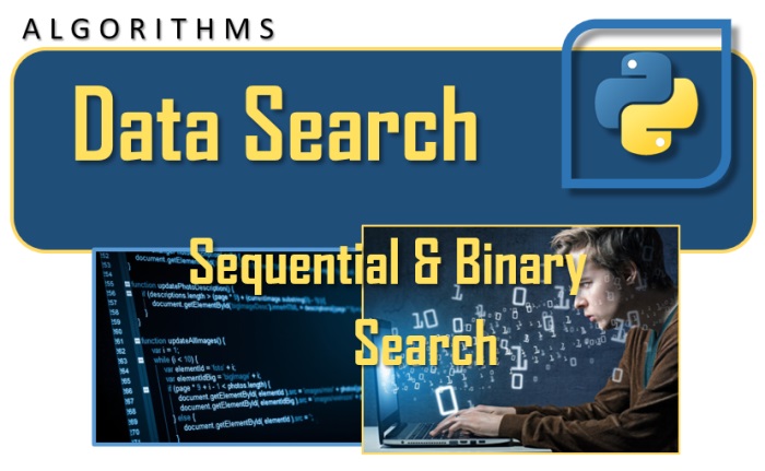 Data Search sequential and binary