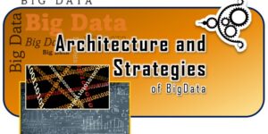 Architecture and Management Strategies of Big Dataw